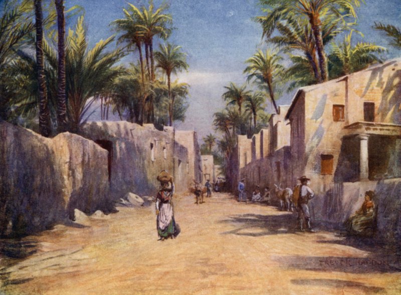 Elche, Una strada da A. Trevor Haddon