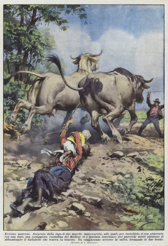 Eroismo materno da Achille Beltrame