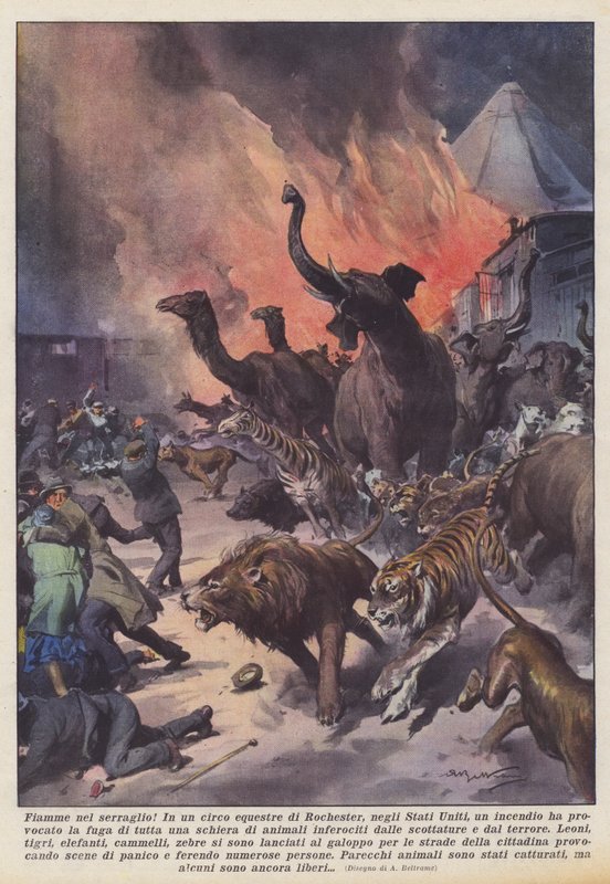 Fiamme nel serraglio! da Achille Beltrame