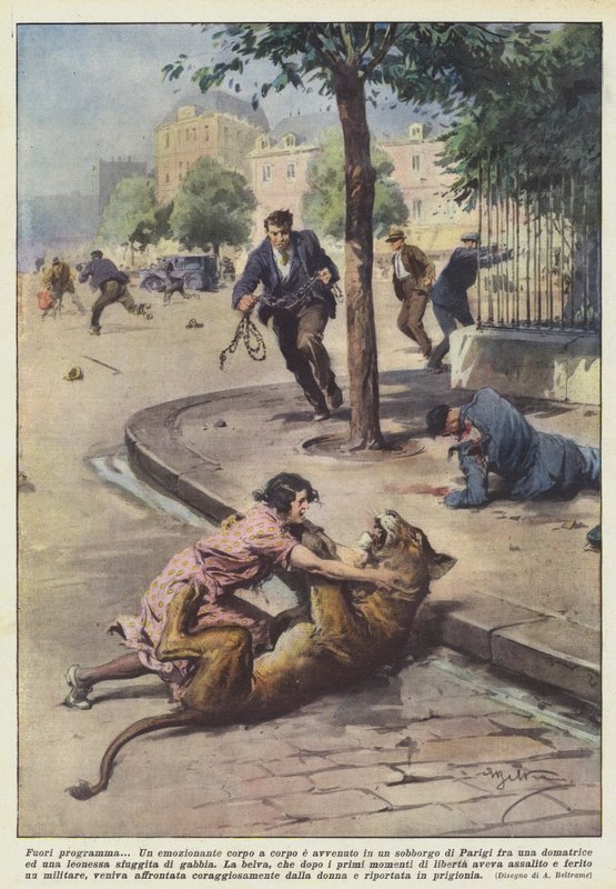 Fuori programma da Achille Beltrame