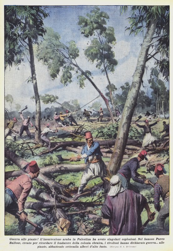 Guerra alle piante! da Achille Beltrame