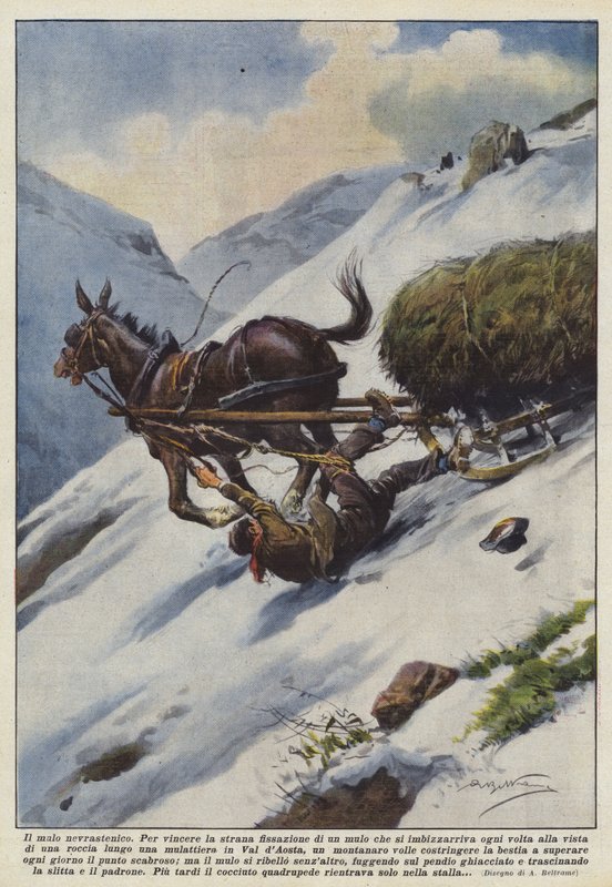 Il mulo nevrastenico da Achille Beltrame
