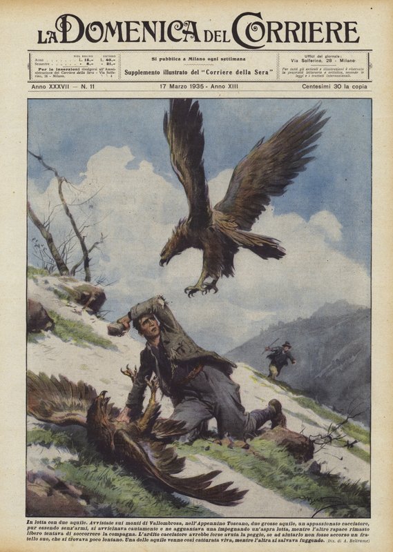 In lotta con due aquile da Achille Beltrame