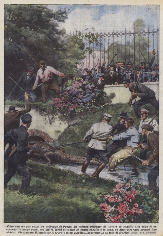 Molto rumore per nulla da Achille Beltrame