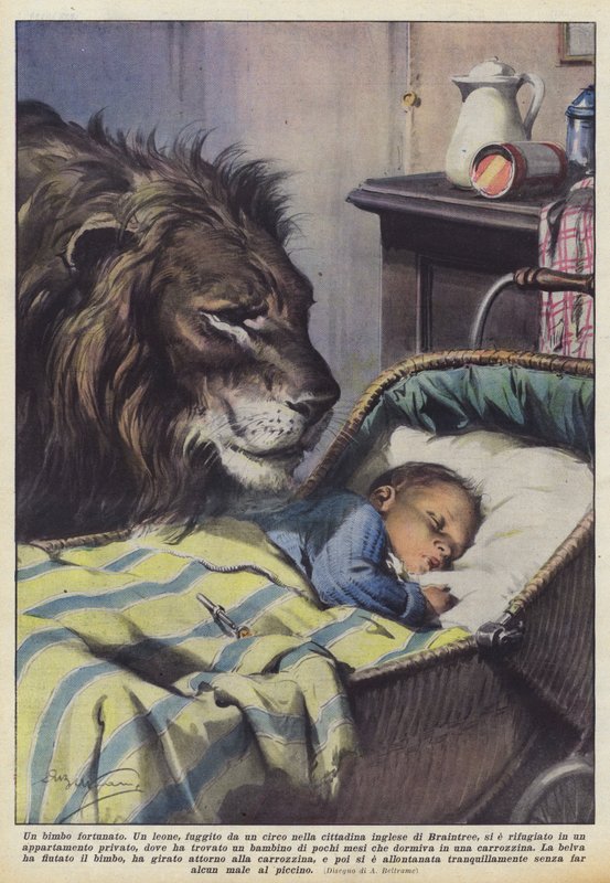 Un bimbo fortunato da Achille Beltrame