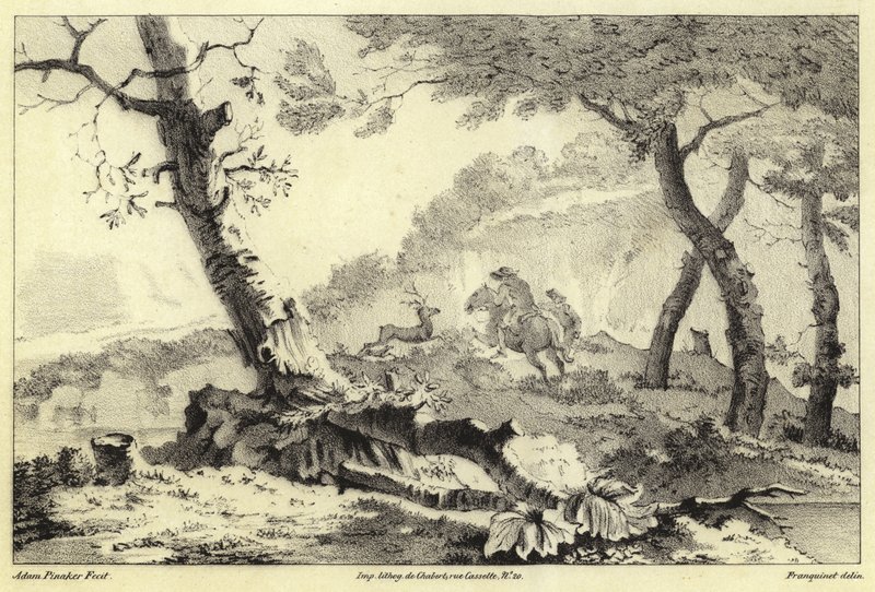 Scena di caccia al cervo da Adam Pynacker