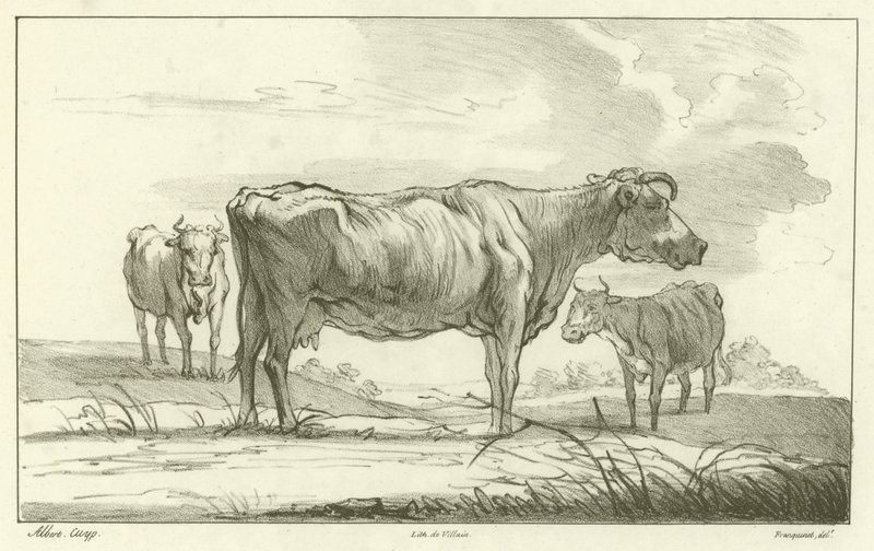 Tre mucche da Aelbert Cuyp