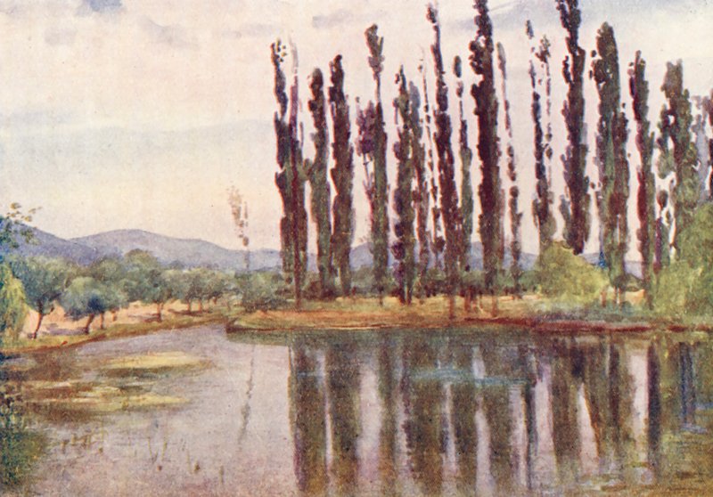 Vicino al Tempio di Clitumnus (litografia a colori) da Alberto Pisa
