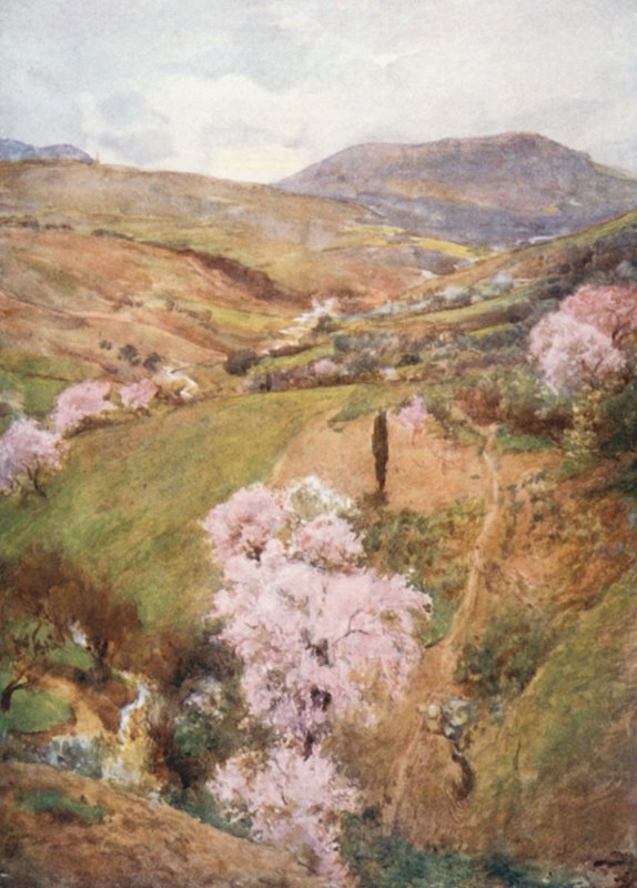 Giornata di primavera in una valle vicino a Girgenti da Alberto Pisa