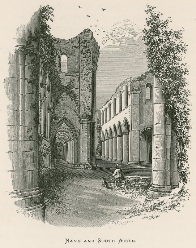 Abbazia di Fountains, navata e navata sud da Alexander Francis Lydon