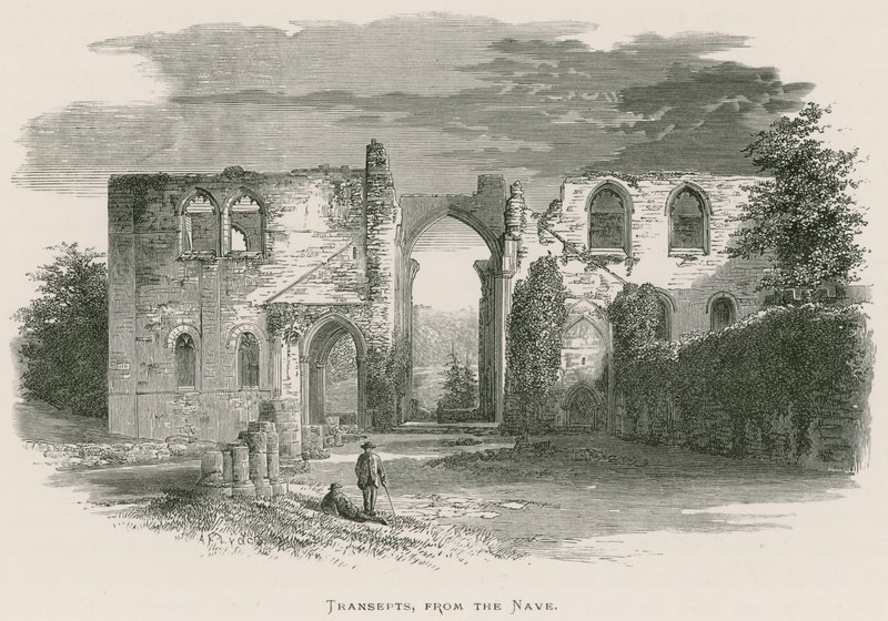 Abbazia di Furness, transetti, dalla navata da Alexander Francis Lydon