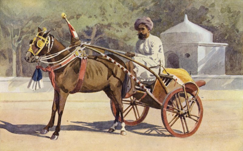 Un Ekka di Benares da Alexander Henry Hallam Murray