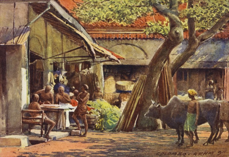 Il Mercato, Colombo da Alexander Henry Hallam Murray