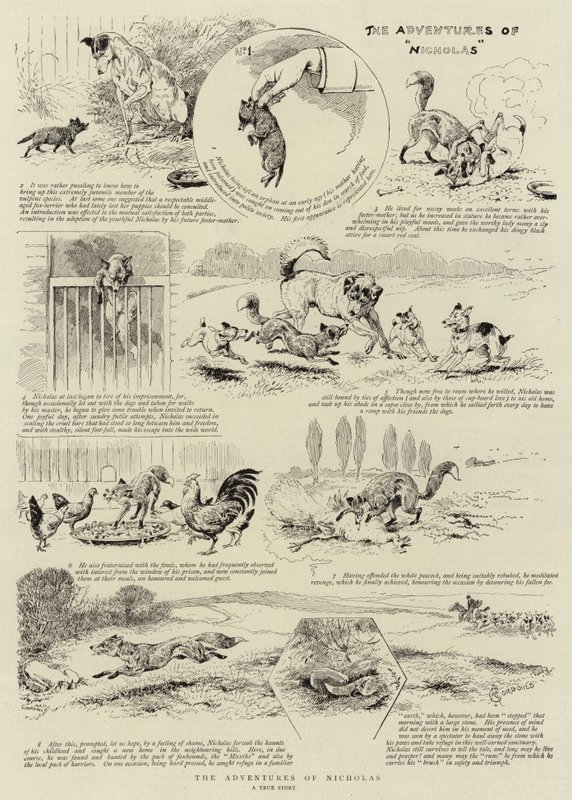 Le avventure di Nicholas da Alfred Chantrey Corbould