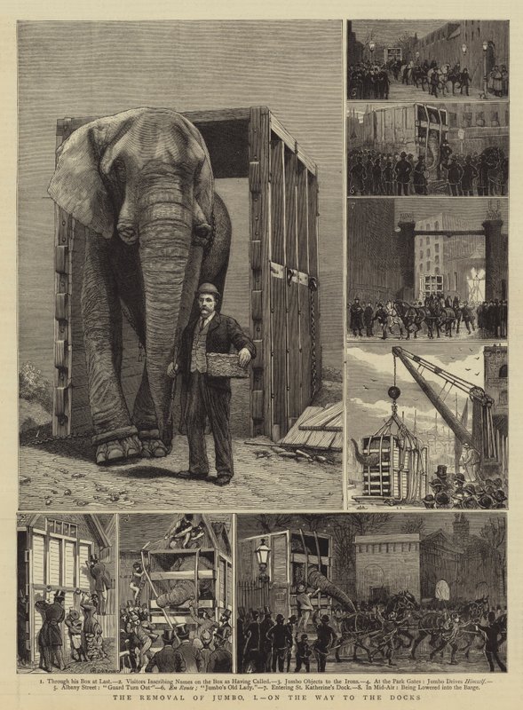 La rimozione di Jumbo, I, sulla strada per i moli da Alfred Chantrey Corbould