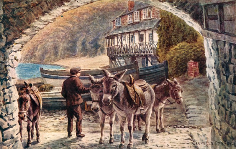 Asini di Clovelly da Alfred Robert Quinton