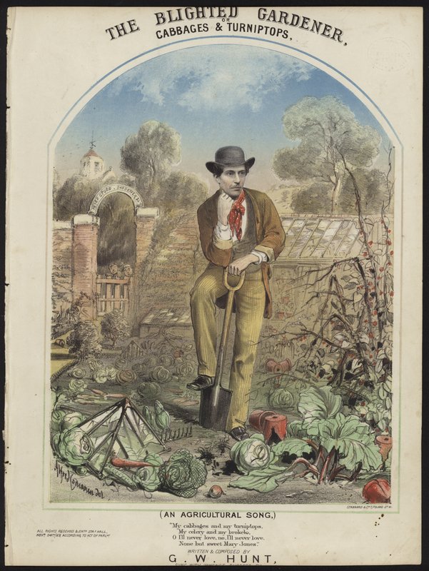 Il giardiniere afflitto da Alfred Concanen