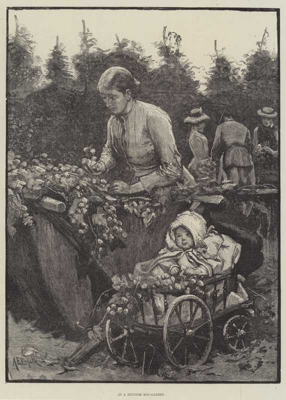 In un giardino di luppolo del Kent da Alfred Edward Emslie