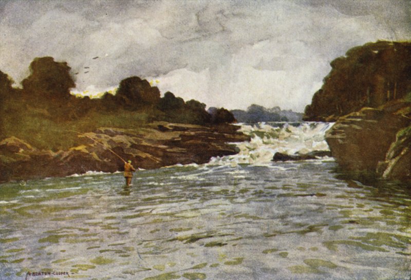 Cascate di Kathleen, Ballyshannon da Alfred Heaton Cooper