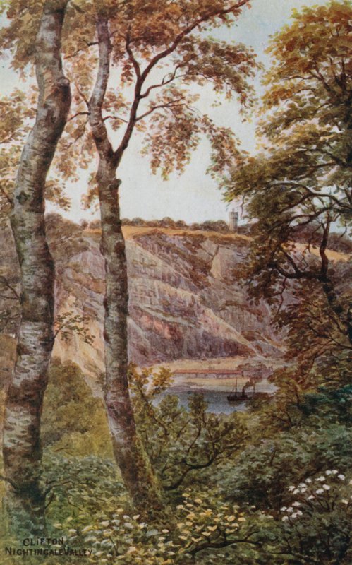 Clifton, Nightingale Valley da Alfred Robert Quinton