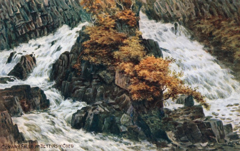 Cascate di Conway, vicino a Bettws-y-Coed da Alfred Robert Quinton
