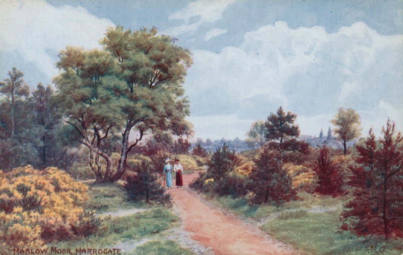 Harlow Moor, Harrogate da Alfred Robert Quinton