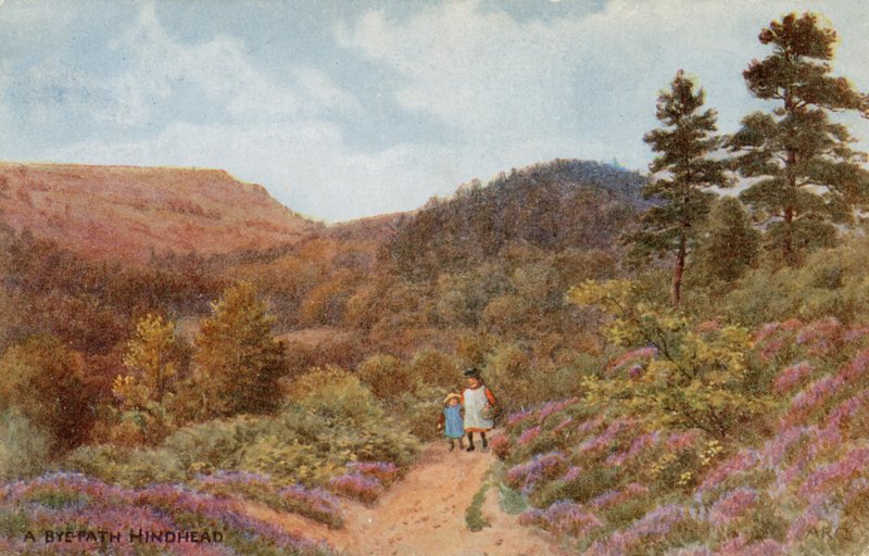 Hindhead da Alfred Robert Quinton