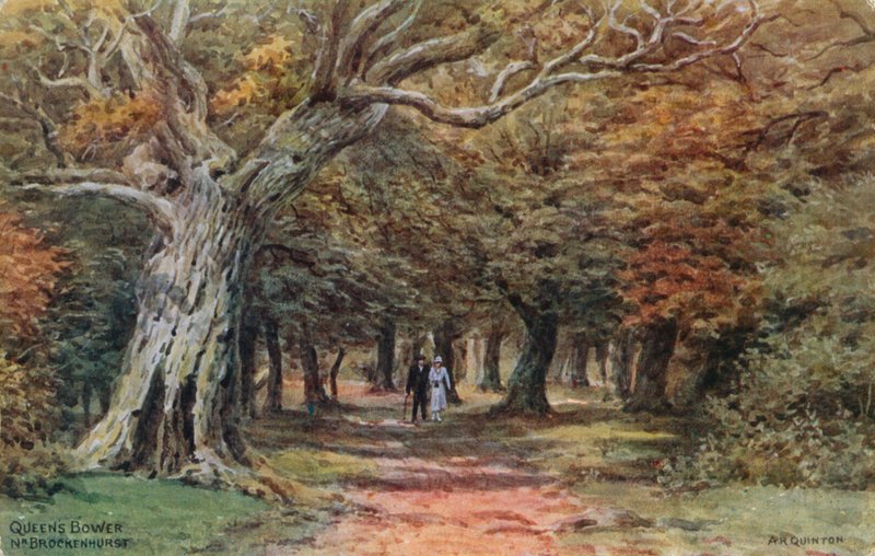 Bower della Regina vicino a Brockenhurst da Alfred Robert Quinton