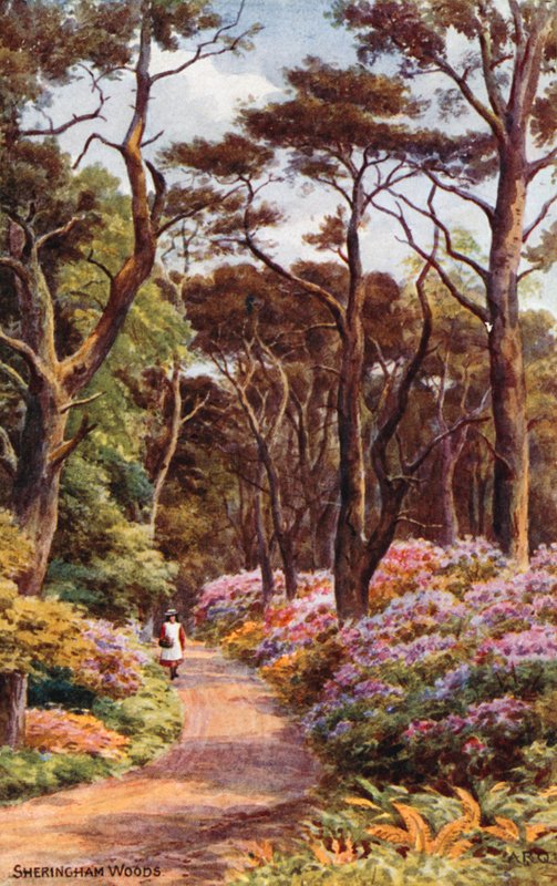 Boschi di Sheringham da Alfred Robert Quinton