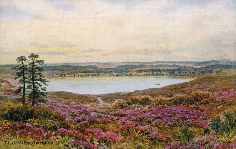 Il Grande Stagno, Frensham da Alfred Robert Quinton