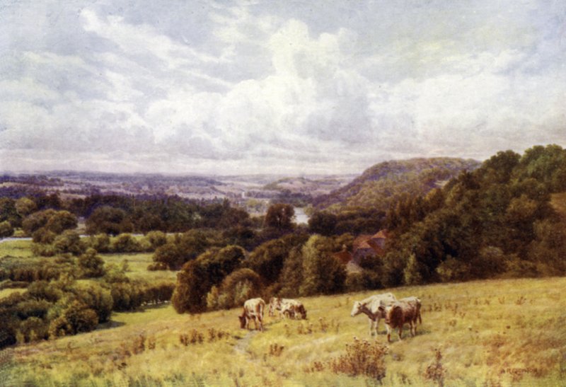 La valle del Tamigi da Hennerton, Henley da Alfred Robert Quinton