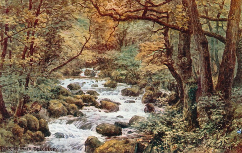 Passeggiata del Torrente, Dolgelley da Alfred Robert Quinton
