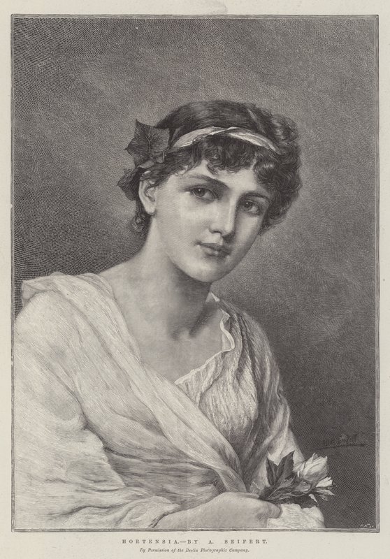 Ortensia da Alfred Seifert