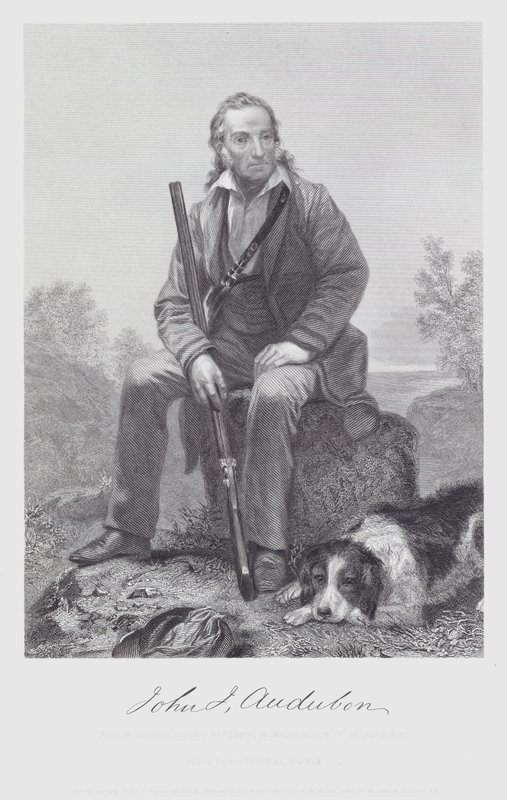 John James Audubon (incisione) da Alonzo (after) Chappel