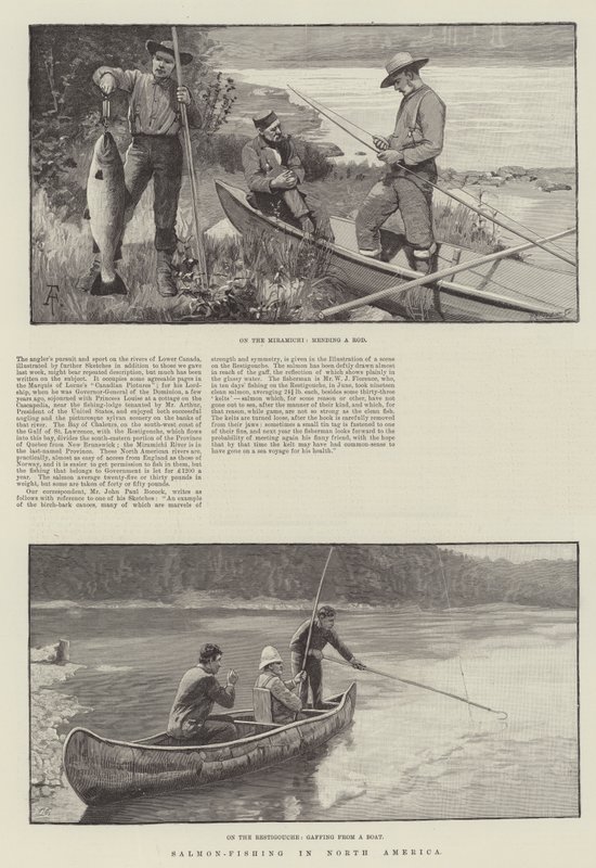 Pesca al salmone in Nord America da Amedee Forestier