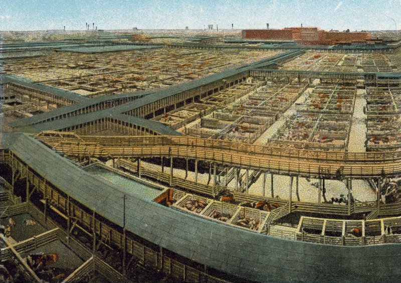 Union Stock Yards da American Photographer