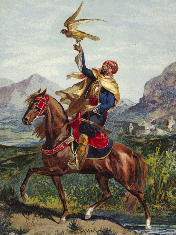 Cavaliere arabo con falco da American School