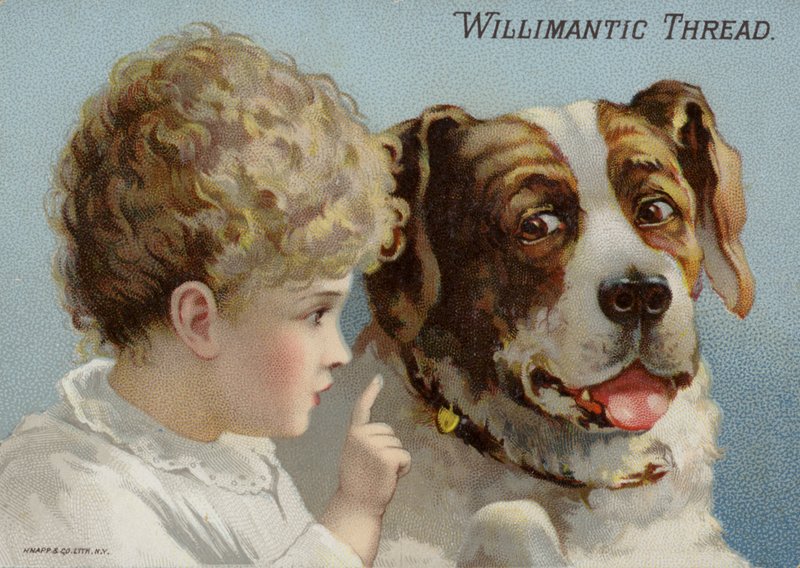 Cane e bambino piccolo da American School