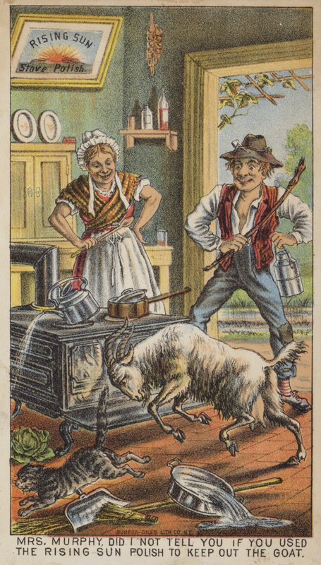 Capra che insegue un gatto in cucina da American School