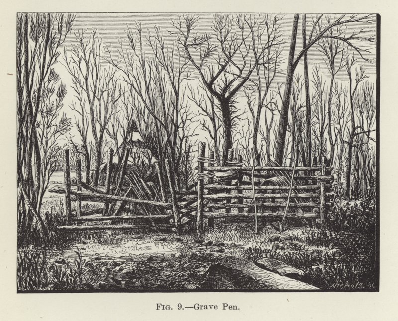 Penna della tomba da American School