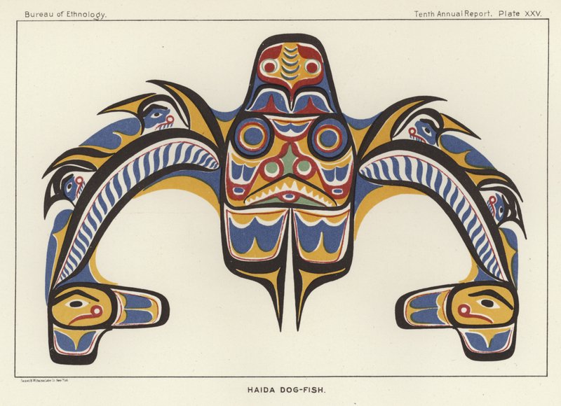 Pesce cane Haida da American School