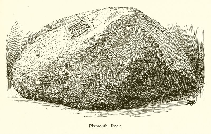 Plymouth Rock da American School