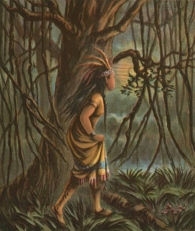 Pocahontas da American School