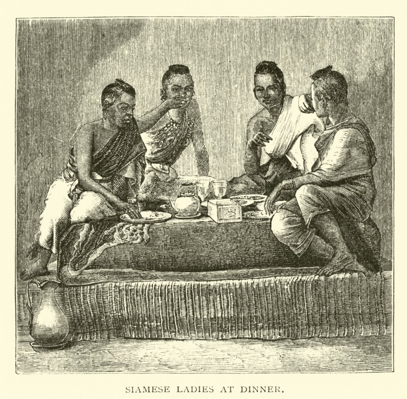 Signore siamesi a cena da American School