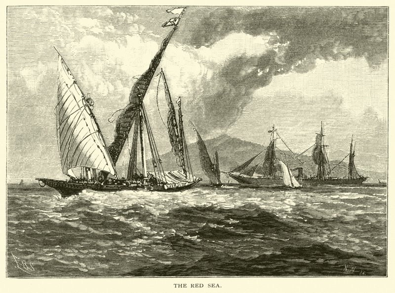 Il Mar Rosso da American School