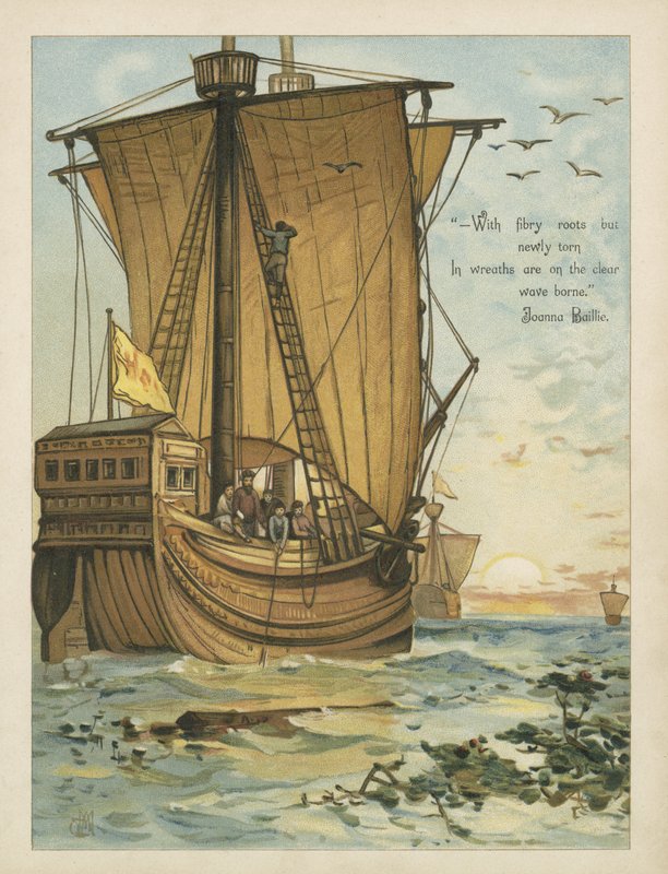 Colombo che naviga attraverso il Mar dei Sargassi da Andrew Melrose