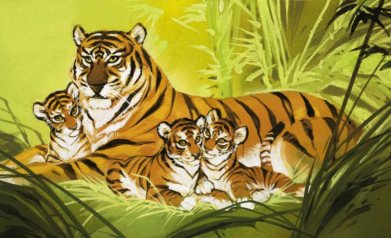 Famiglia di tigri da Angus McBride