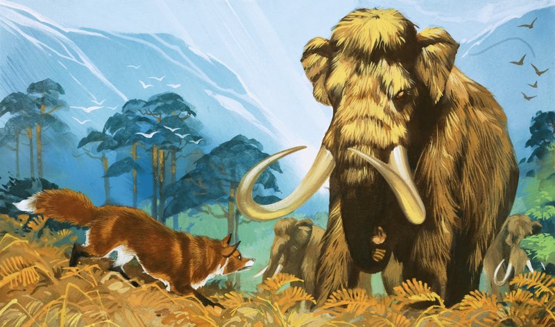 Volpe che attacca il mammut da Angus McBride