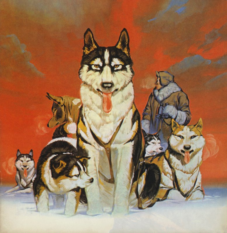 Husky (litografia a colori) da Angus McBride