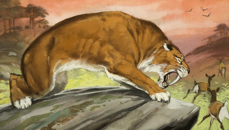 Tigre dai denti a sciabola a caccia da Angus McBride